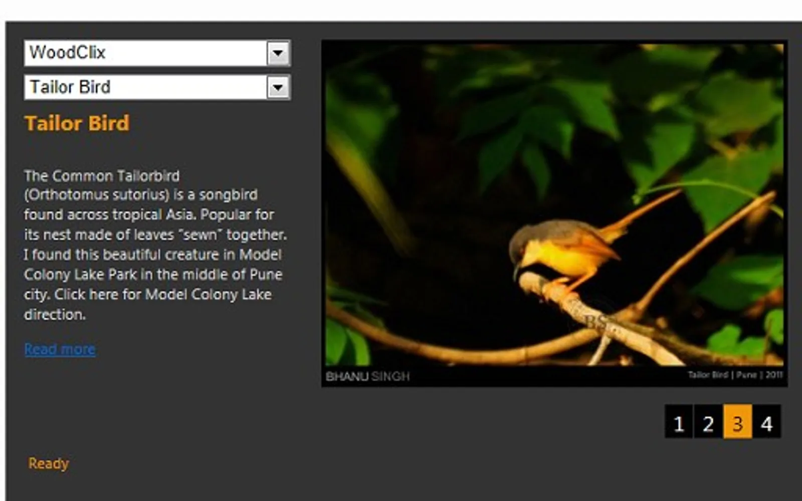 BS WordPress Blog Reader — screenshot from the Microsoft Marketplace listing