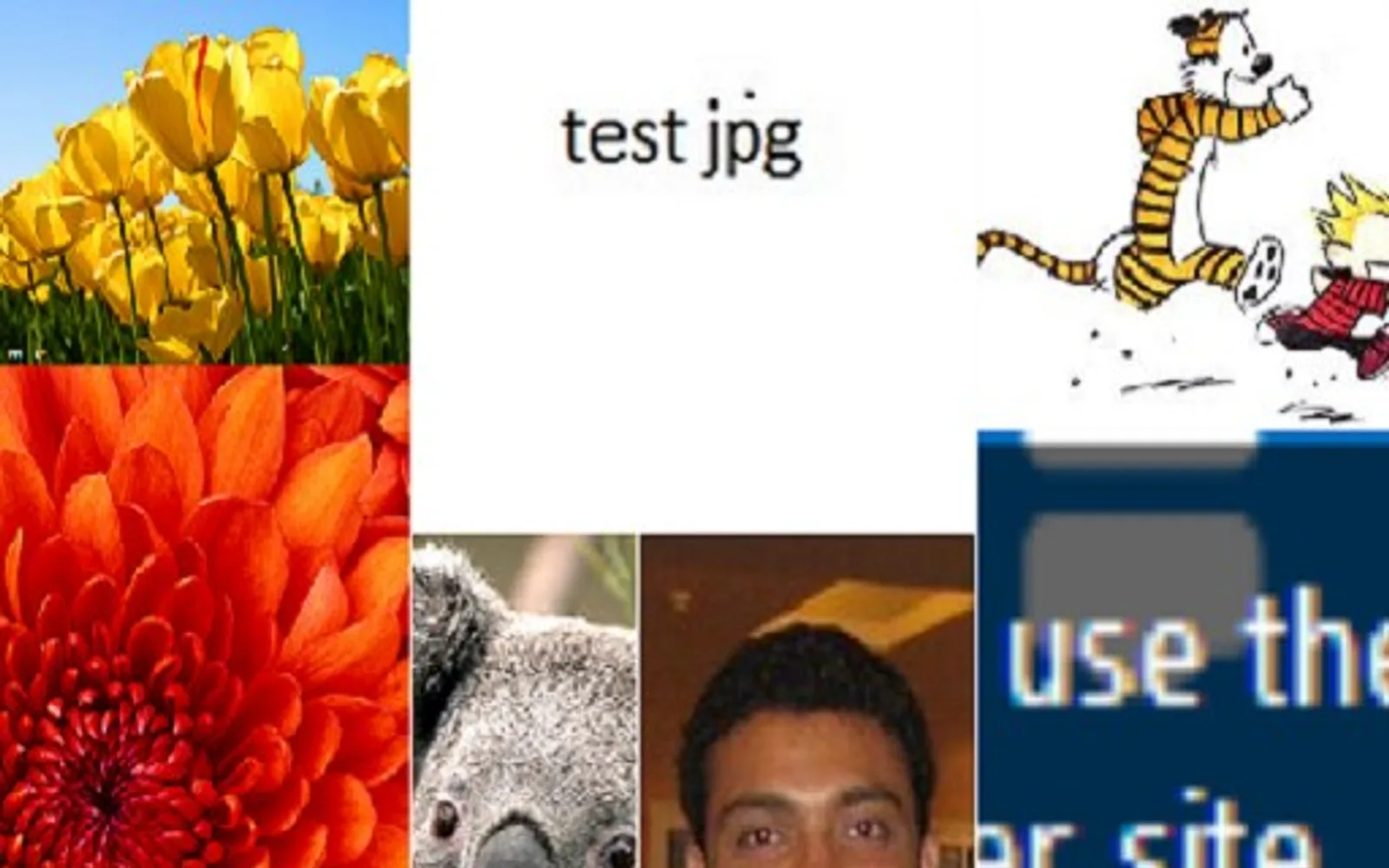 Collage App — screenshot from the Microsoft Marketplace listing