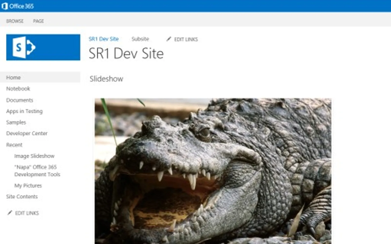Image Slideshow — screenshot from the Microsoft Marketplace listing