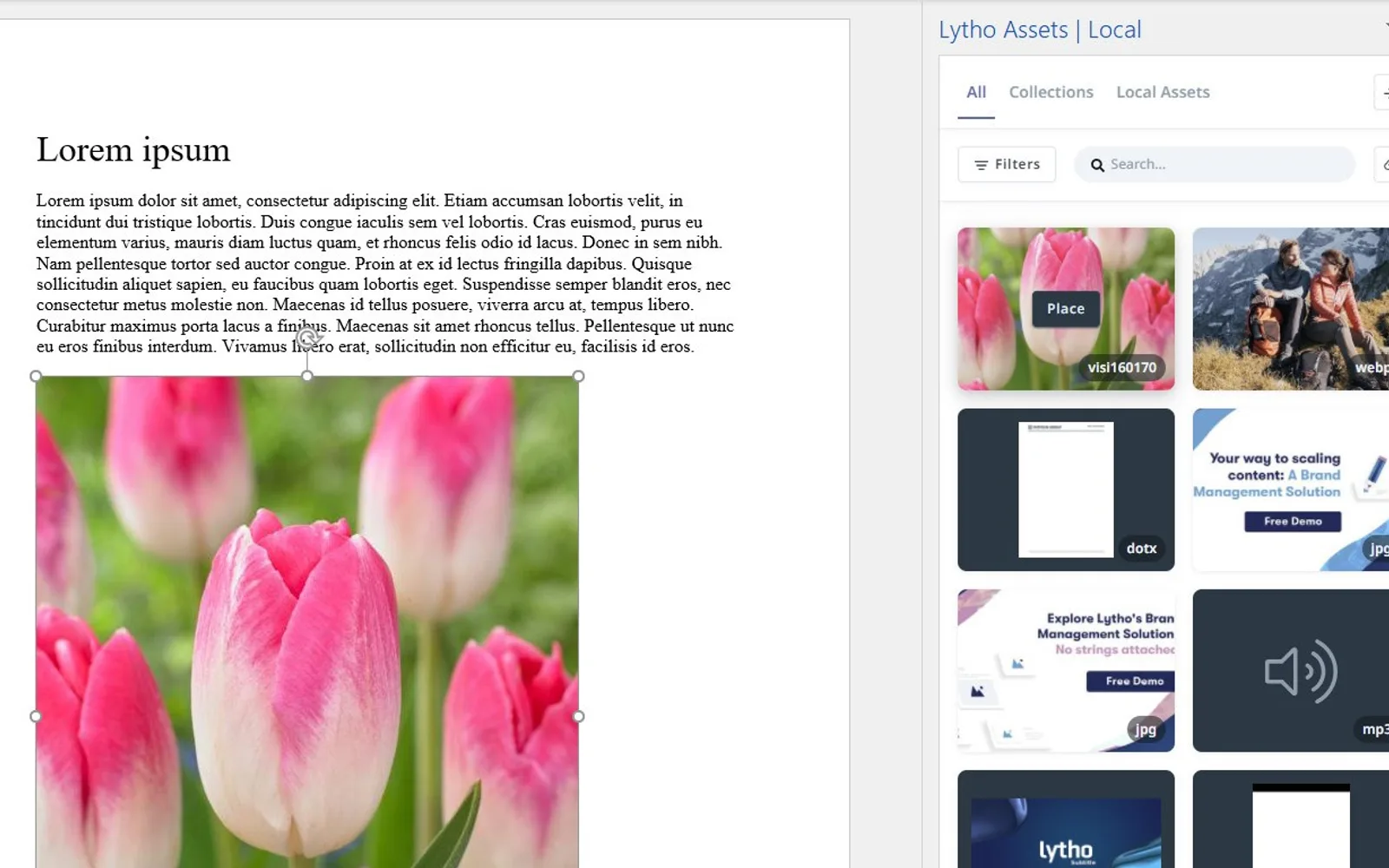 Lytho — screenshot from the Microsoft Marketplace listing