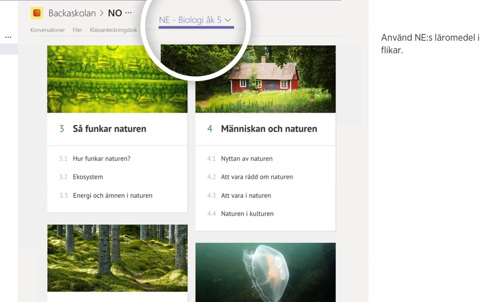 NE — screenshot from the Microsoft Marketplace listing