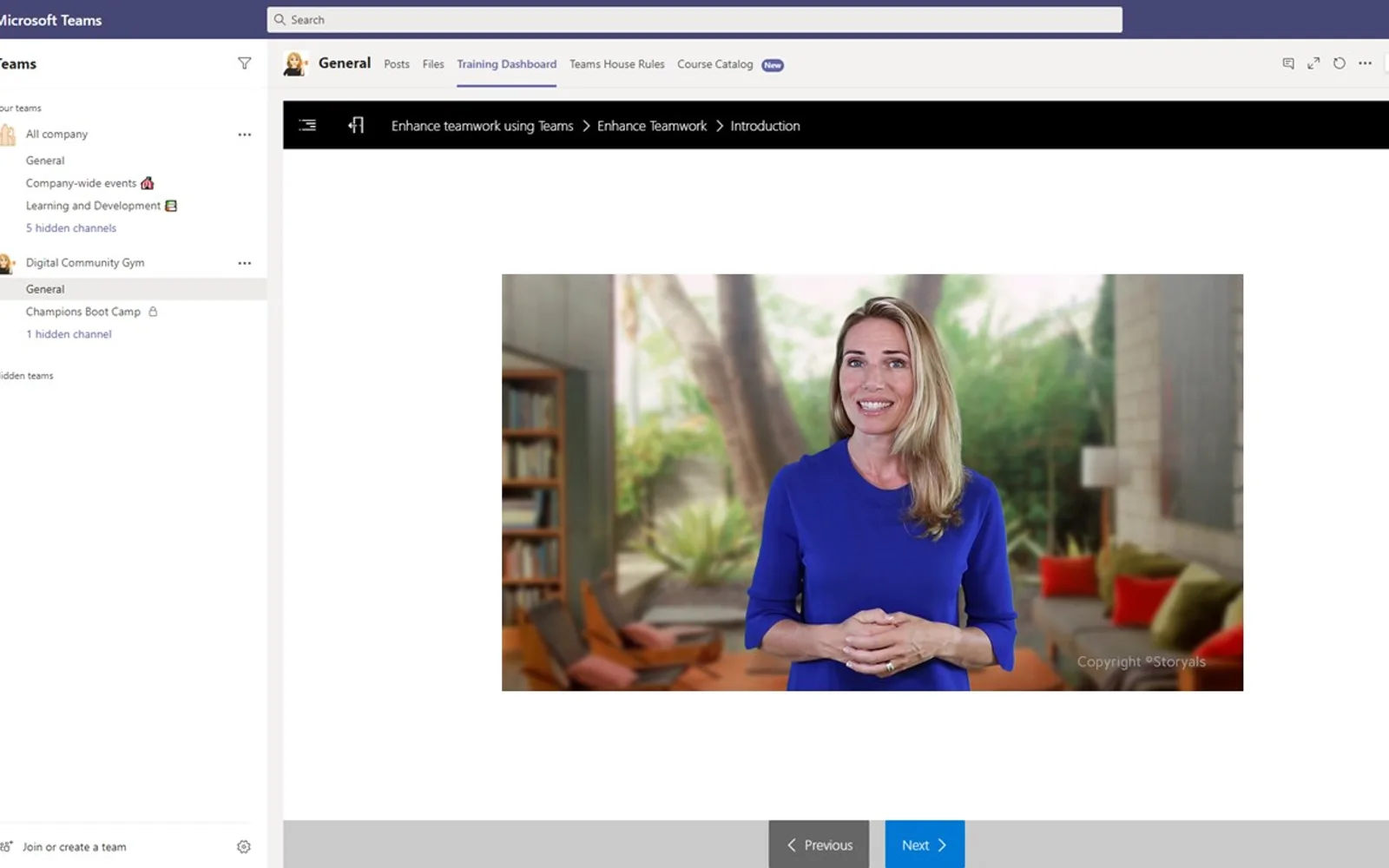 Storyals Pro — screenshot from the Microsoft Marketplace listing